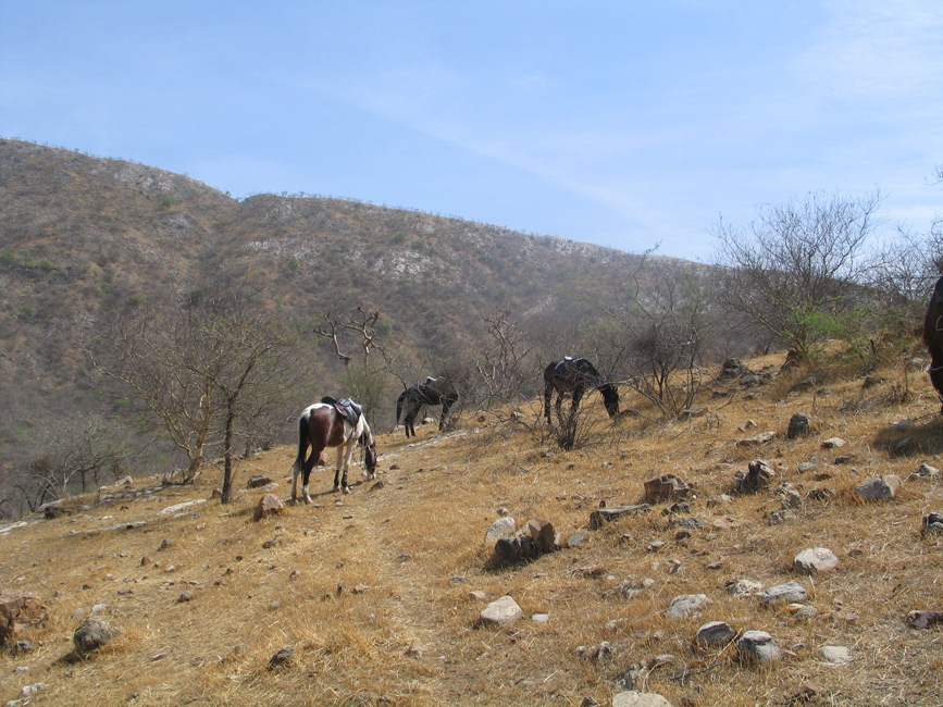 Jaisamand Wildlife, Jaisamand