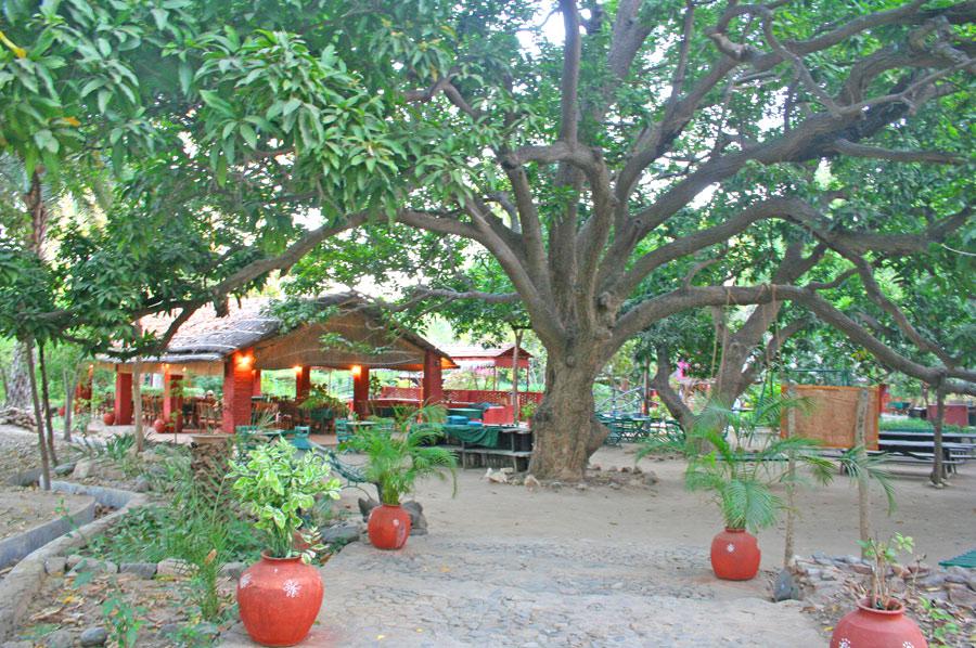 WelcomHeritage Maharani Bagh Orchard, Ranakpur, Rajasthan