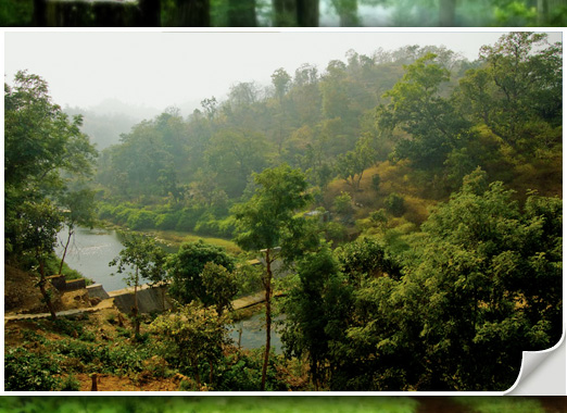 Hotel Aranyawas, Ranakpur